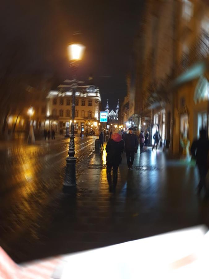 Апартаменти У Шевальє. Lvov Exteriér fotografie